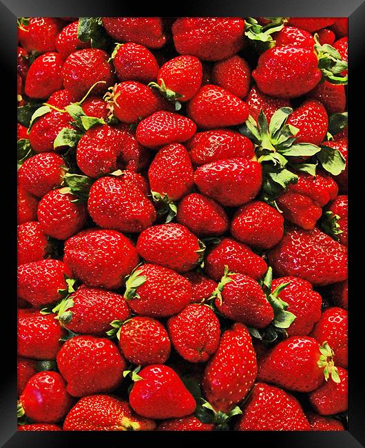 Strawberry's Framed Print by Howard Little