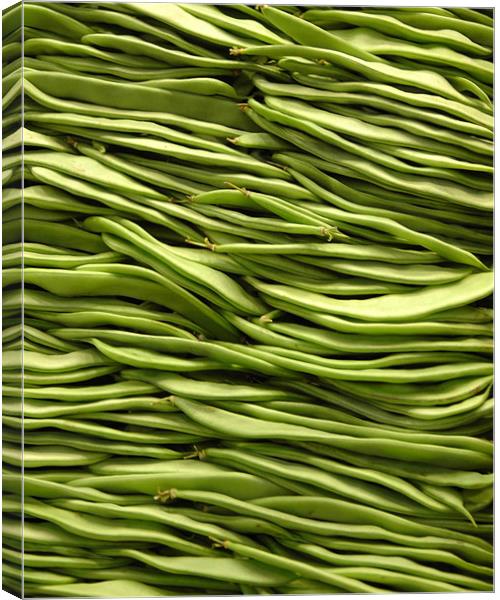 Broad Beans Canvas Print by Howard Little