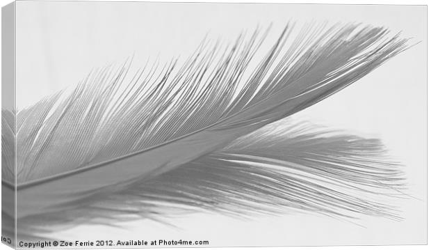Feather & Reflection (B&W) Canvas Print by Zoe Ferrie