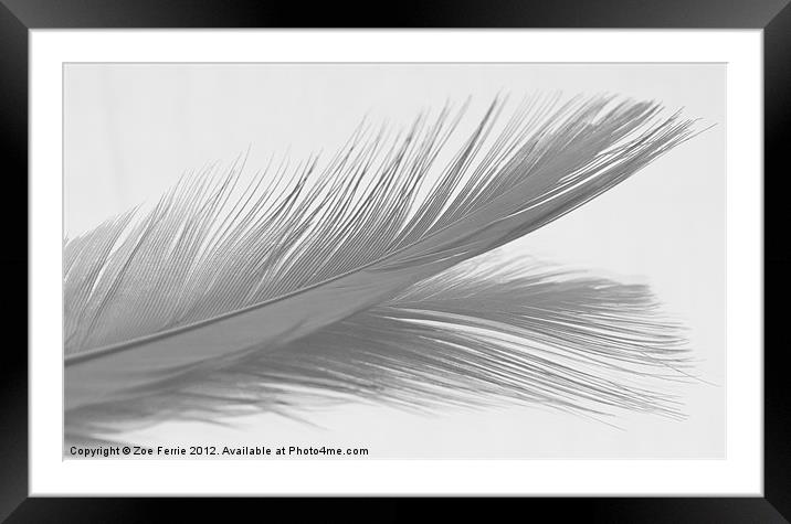 Feather & Reflection (B&W) Framed Mounted Print by Zoe Ferrie