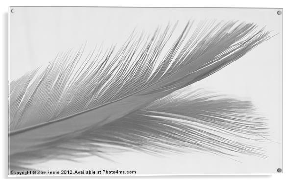 Feather & Reflection (B&W) Acrylic by Zoe Ferrie