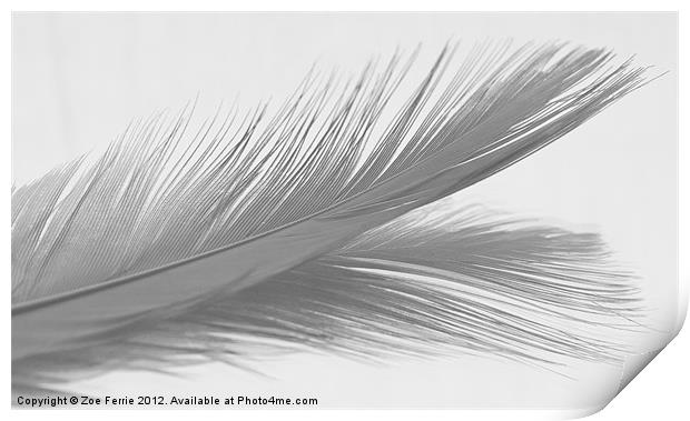 Feather & Reflection (B&W) Print by Zoe Ferrie