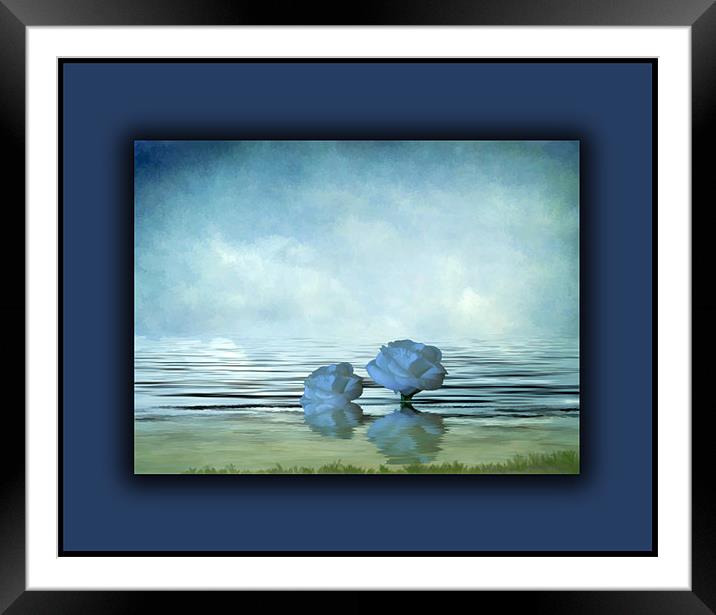 A Peaceful Afternoon Framed Mounted Print by Debra Kelday