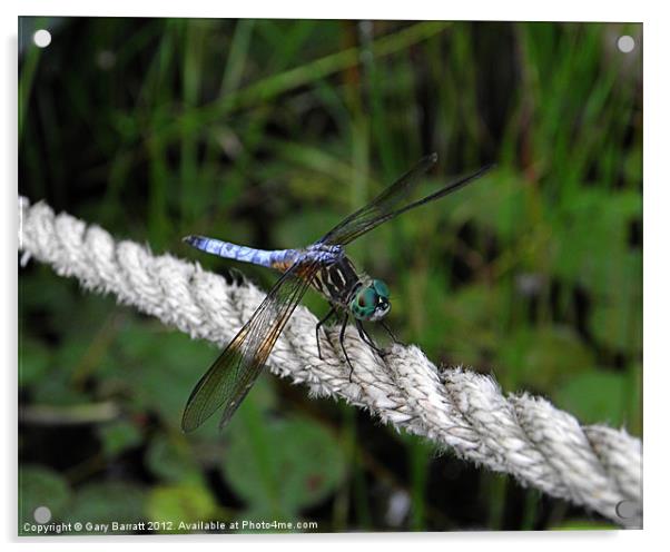 Dragonfly's Rope. Acrylic by Gary Barratt