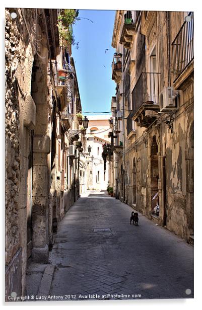 Sicilian alley dog Acrylic by Lucy Antony