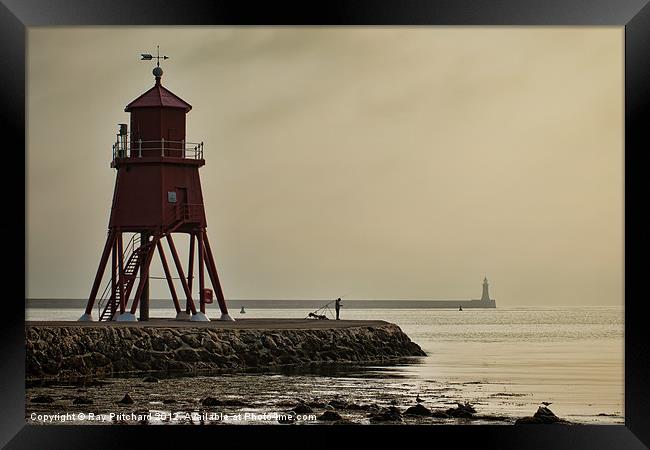 The Groyne Framed Print by Ray Pritchard