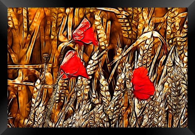 Poppies among the cornfields Framed Print by Dean Messenger