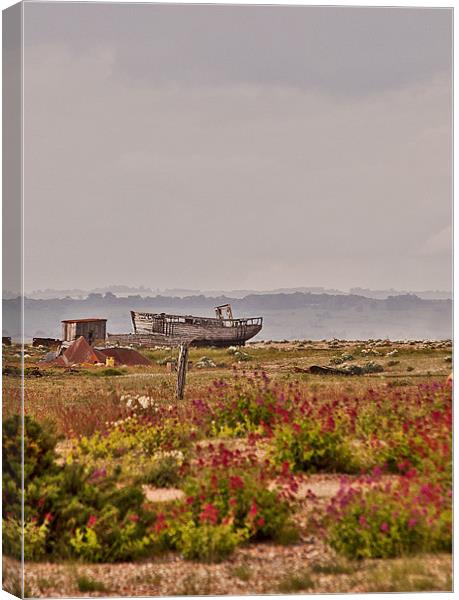 Stranded at Dungeness Canvas Print by Dawn Cox