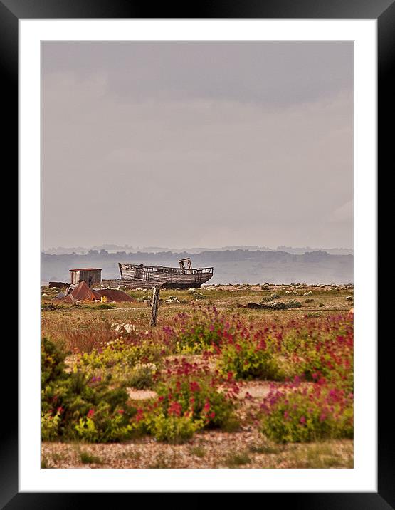 Stranded at Dungeness Framed Mounted Print by Dawn Cox