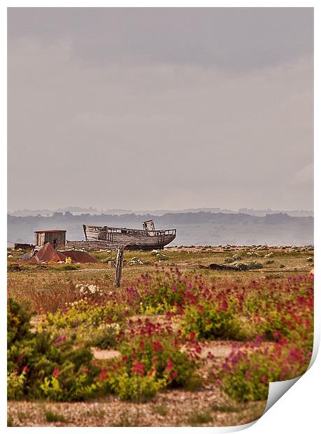 Stranded at Dungeness Print by Dawn Cox