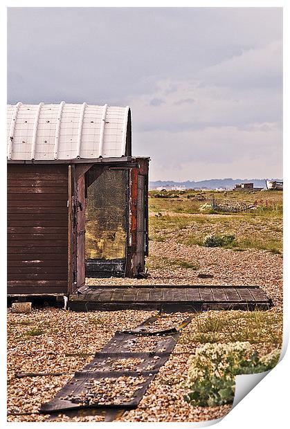 Old Boat shed Print by Dawn Cox