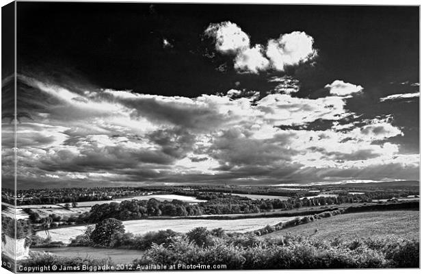 In The Country Black and White Canvas Print by J Biggadike