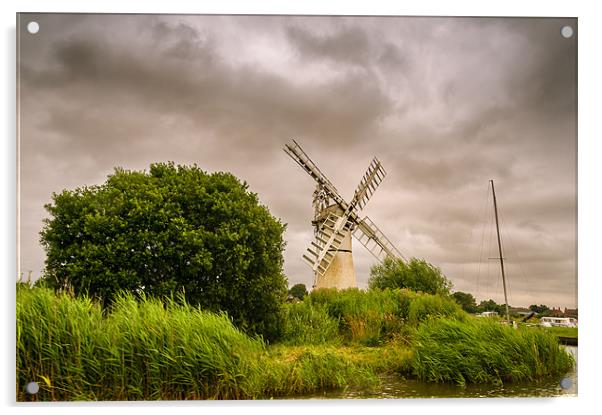 Thurne Mill from the river Acrylic by Stephen Mole