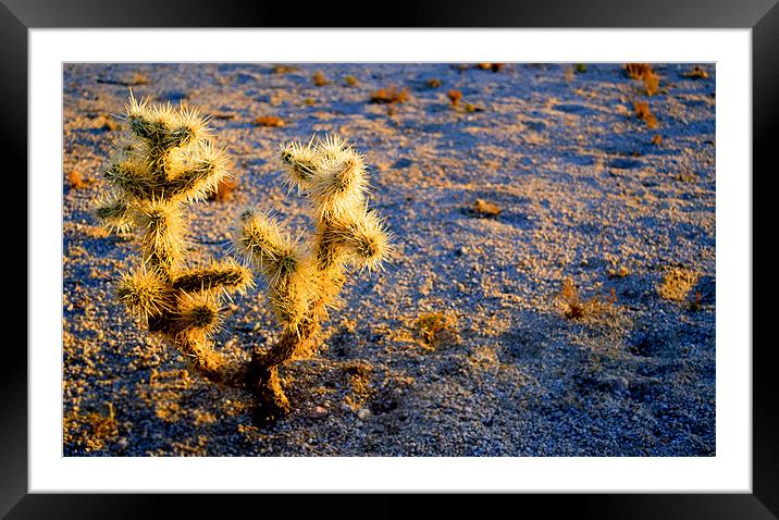 Little Puffy Thing Framed Mounted Print by Panas Wiwatpanachat