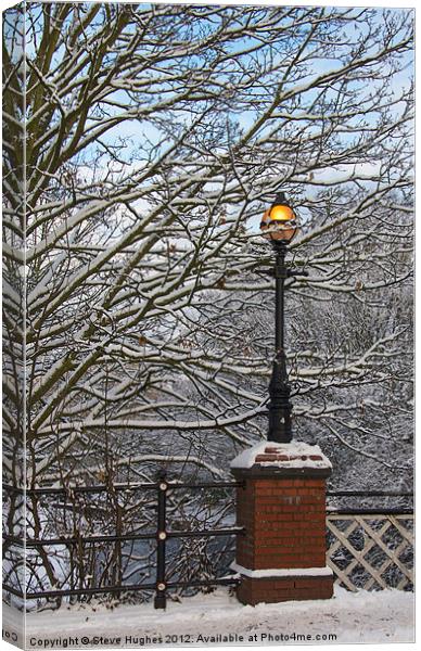 Snowy Lamp Basingstoke Canal Woking Canvas Print by Steve Hughes