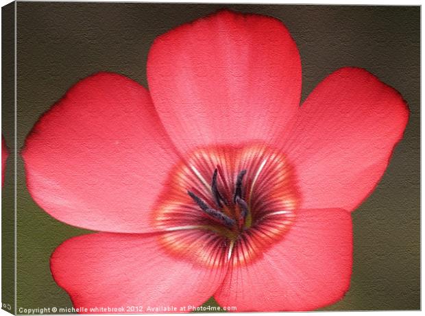 Wild Flower Canvas Print by michelle whitebrook