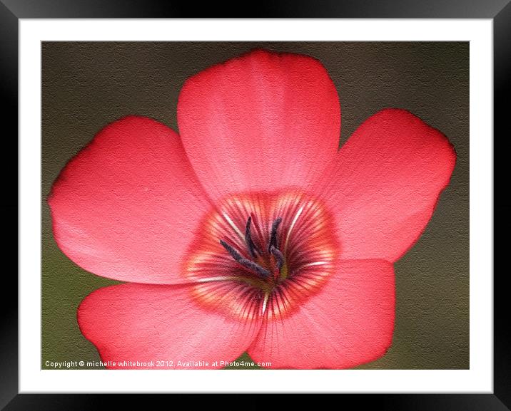 Wild Flower Framed Mounted Print by michelle whitebrook