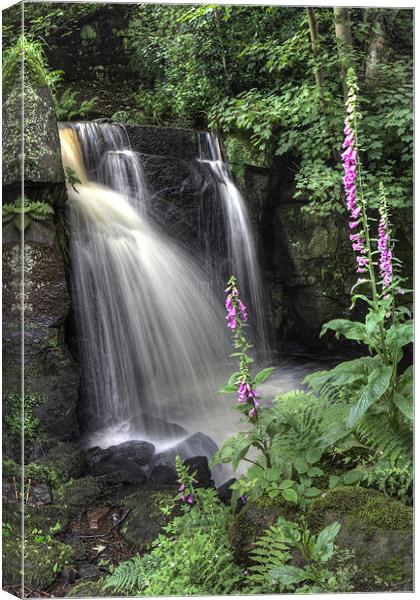 Lumsdale Valley Canvas Print by Wayne Molyneux