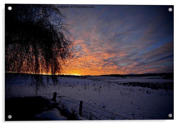 Winter Sunrise Aberdeenshire Acrylic by Roger Cruickshank
