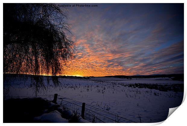 Winter Sunrise Aberdeenshire Print by Roger Cruickshank