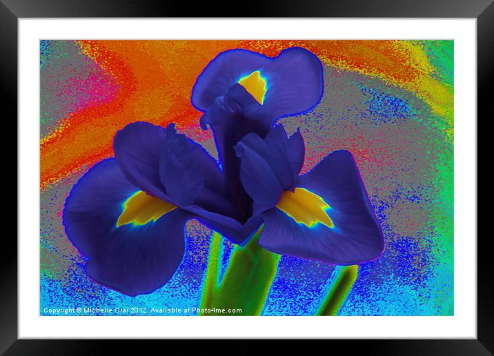 Psychedelic Iris Framed Mounted Print by Michelle Orai