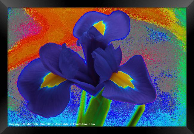 Psychedelic Iris Framed Print by Michelle Orai