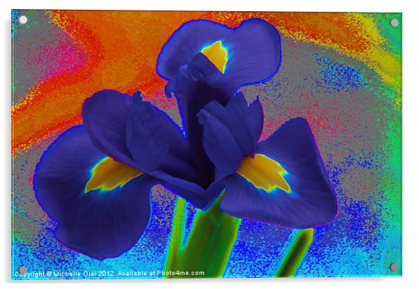 Psychedelic Iris Acrylic by Michelle Orai