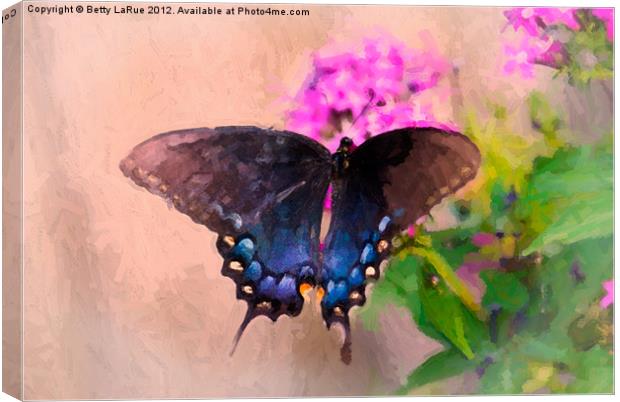 Pipevine Swallowtail Butterfly Canvas Print by Betty LaRue