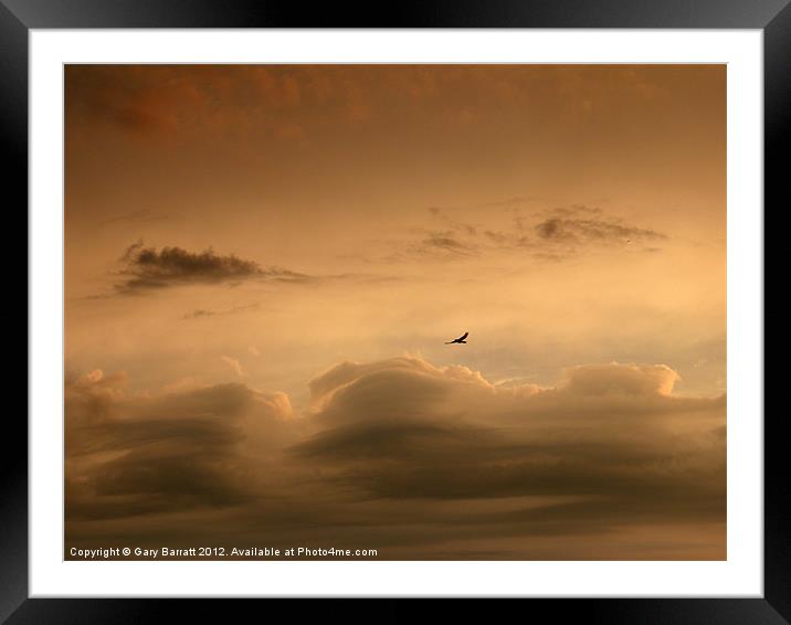 Lone Bird Menacing Sky Framed Mounted Print by Gary Barratt