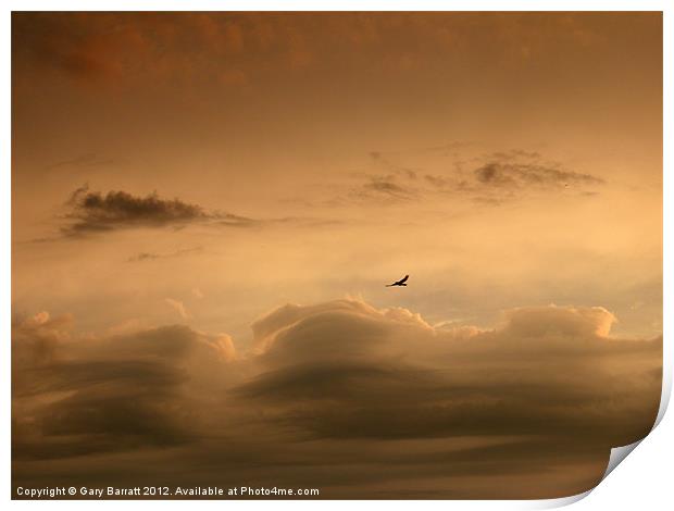Lone Bird Menacing Sky Print by Gary Barratt
