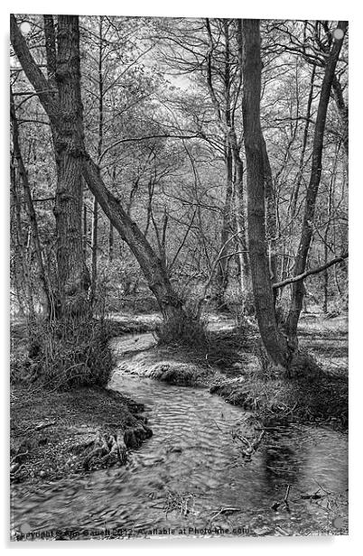 Woodland Stream - Monochrome Acrylic by Ann Garrett