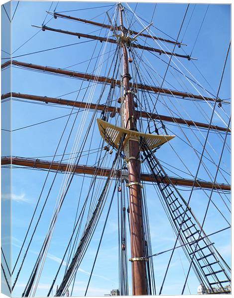 The Mast Canvas Print by Lisa Taylor