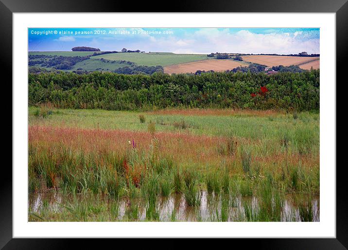 Across The Wetlands Framed Mounted Print by Elaine Pearson