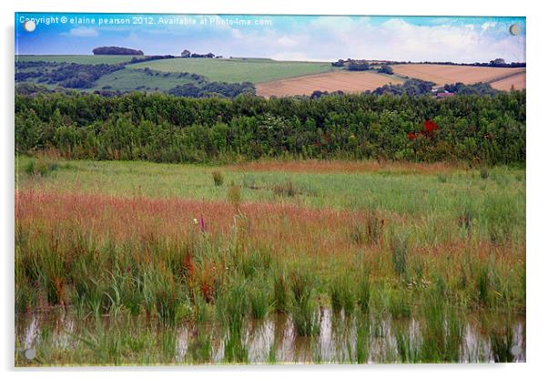 Across The Wetlands Acrylic by Elaine Pearson