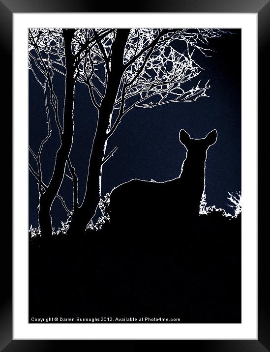 Caught In The Moonlight Framed Mounted Print by Darren Burroughs