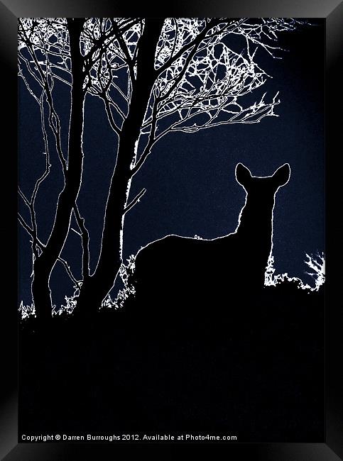 Caught In The Moonlight Framed Print by Darren Burroughs