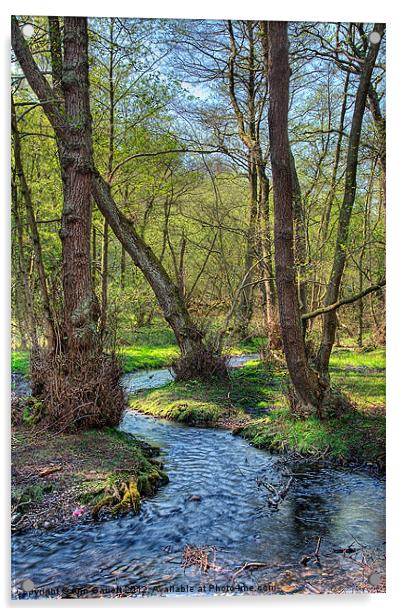 Woodland Stream Acrylic by Ann Garrett
