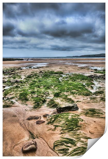 Freshwater West 5 Print by Steve Purnell