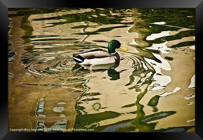 canard a l'abstract Framed Print by Jo Beerens