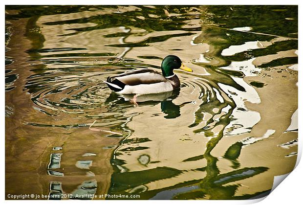 canard a l'abstract Print by Jo Beerens