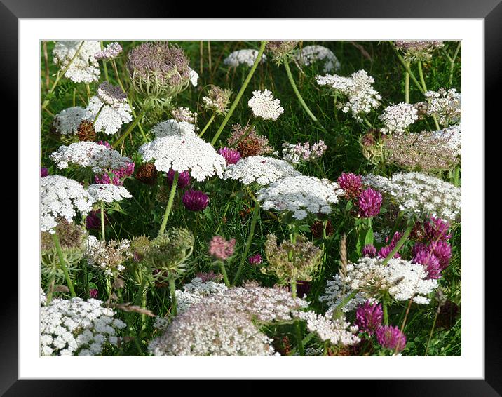 Wild Flowers Framed Mounted Print by Noreen Linale