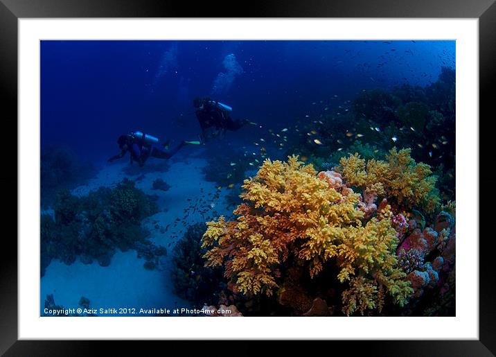 Reef Scene Framed Mounted Print by Aziz Saltik