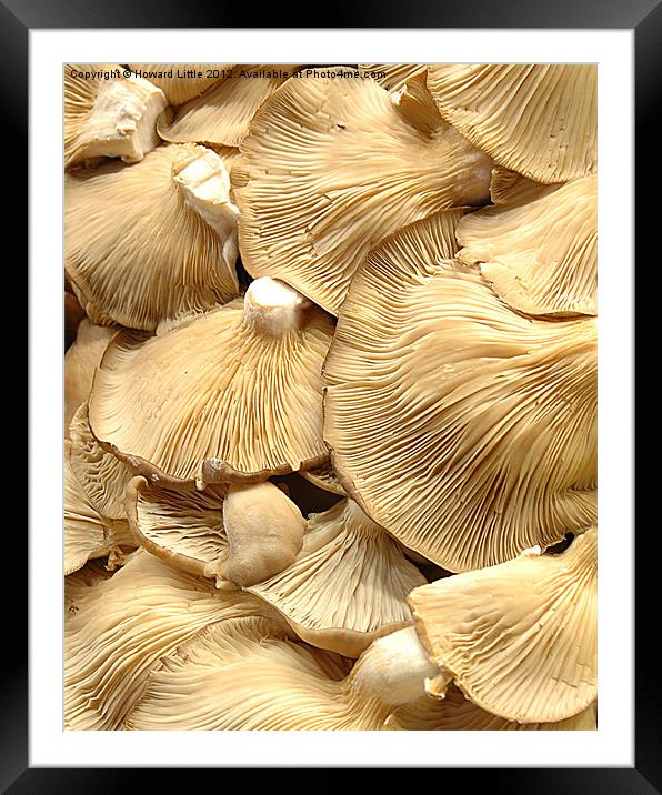 Mushrooms Framed Mounted Print by Howard Little