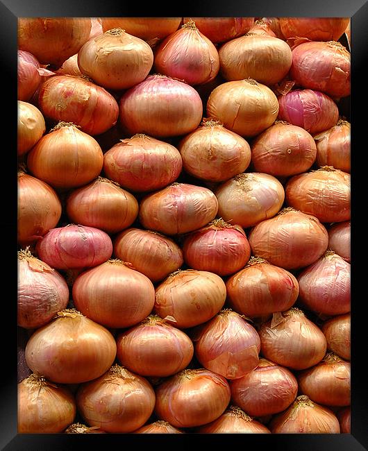 Onions Framed Print by Howard Little