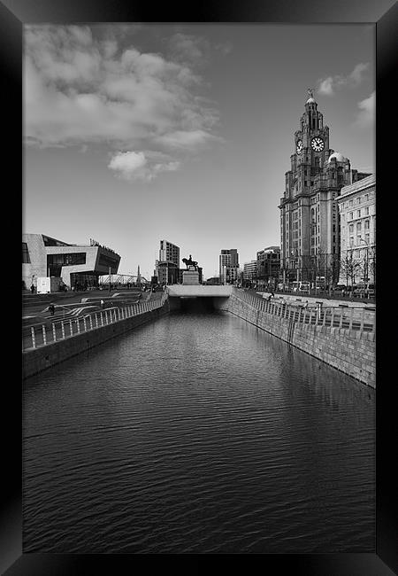 Overlooking the Canal Framed Print by Roger Green