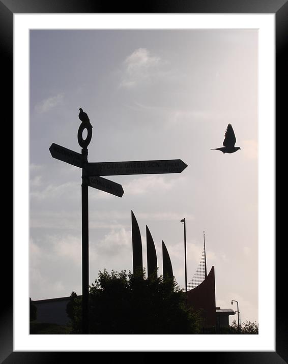 Flight - Direction Home Framed Mounted Print by Lucy Courtney