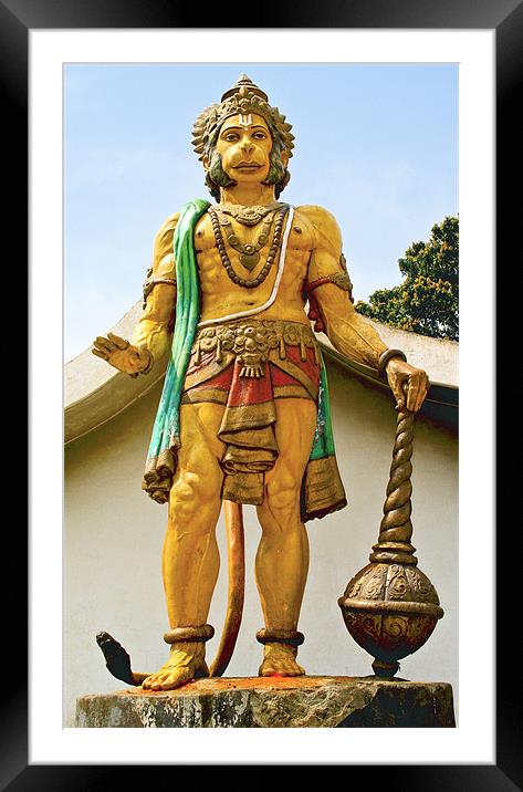 statue of Hanuman at dharumsala Framed Mounted Print by Arfabita  