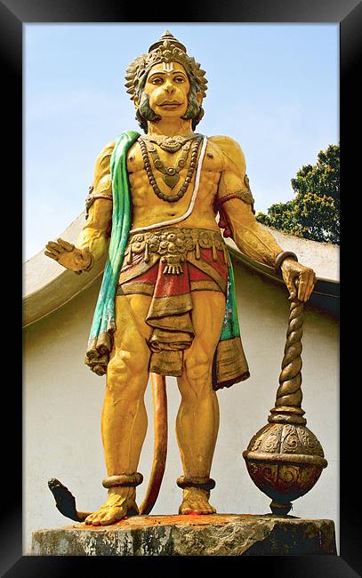statue of Hanuman at dharumsala Framed Print by Arfabita  