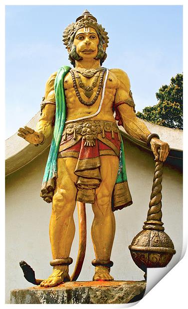 statue of Hanuman at dharumsala Print by Arfabita  