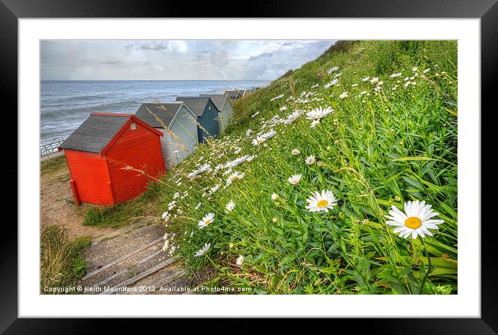 Daisies  and Hut Framed Mounted Print by Keith Mountford